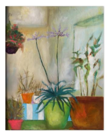 Galerie